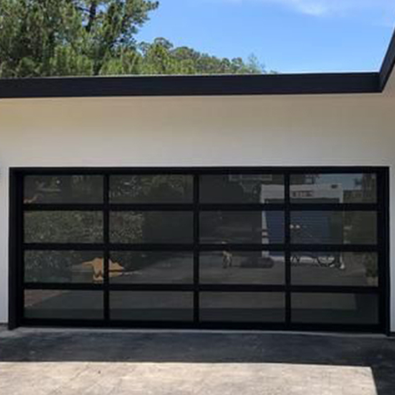 Black Insulated Glass Alumium Garage Door with Passing Door